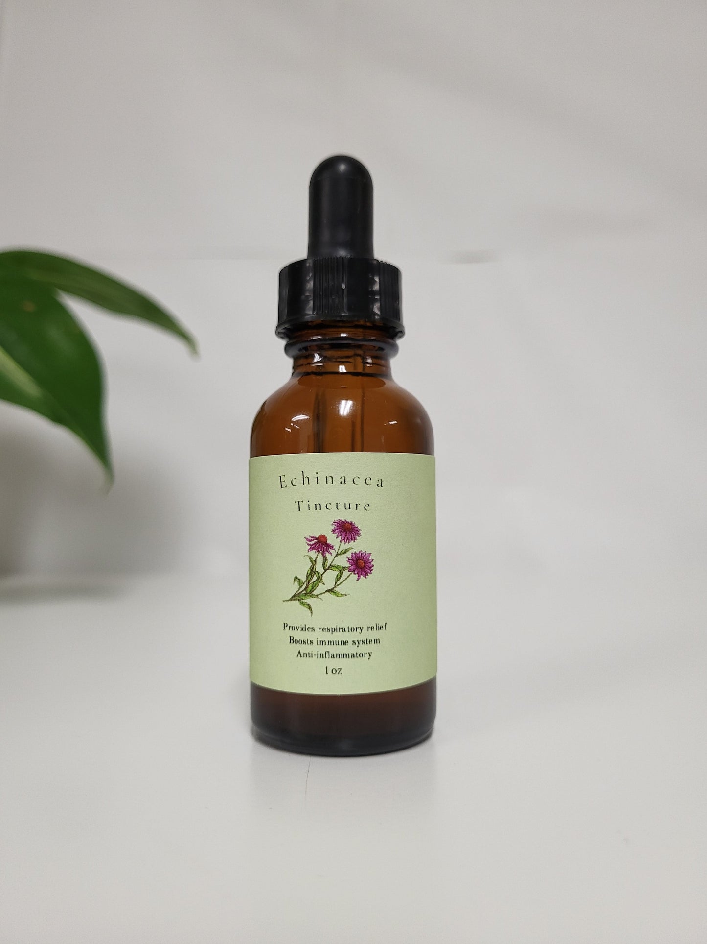 Echinacea Tincture