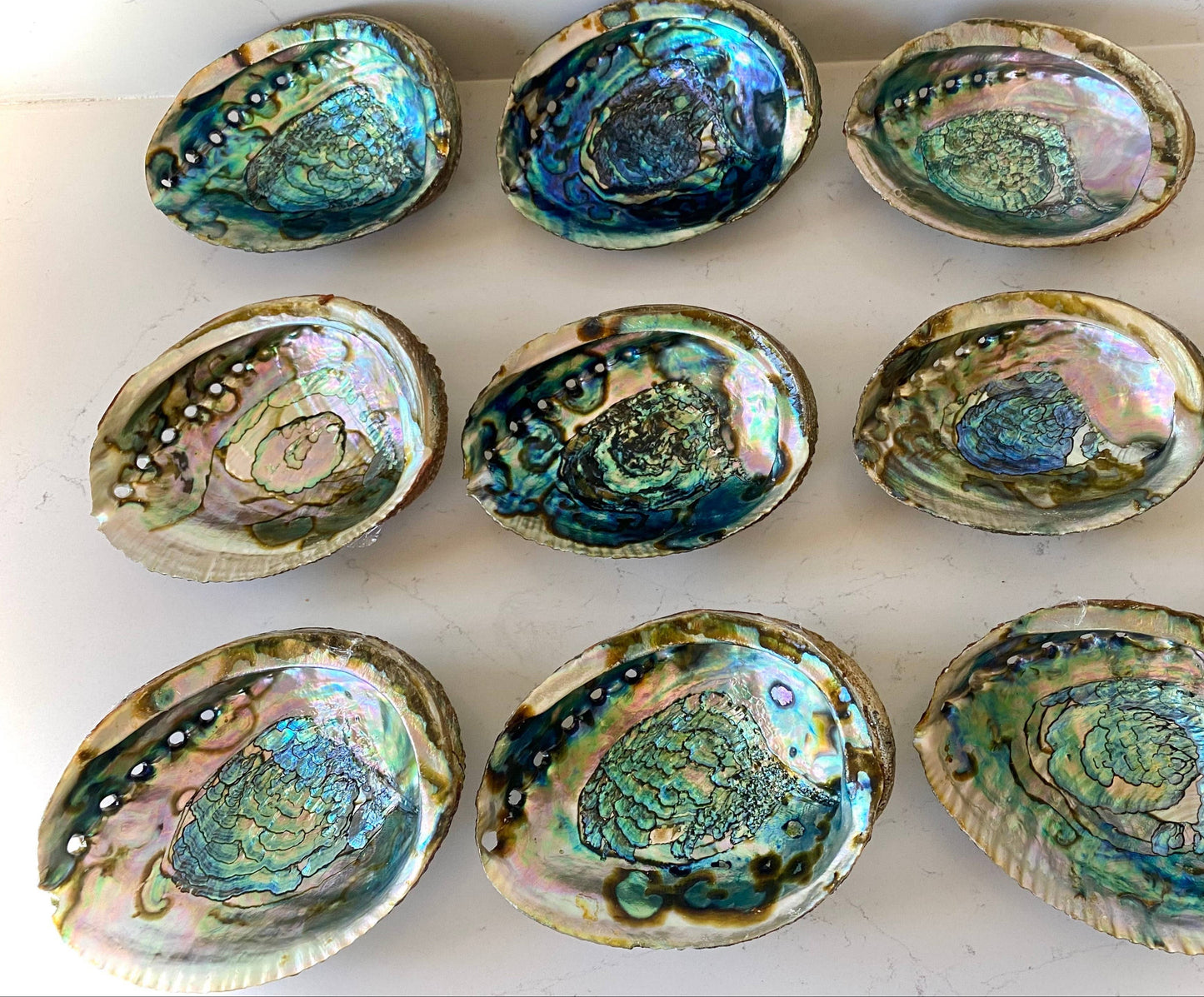 Sacred Smudging Companion: Natural Abalone Shells