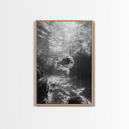 Sunlit Fish, Ocean Rays, Underwater Wonder, Tranquil Sea Life, Framed Canvas Print, Kids Room Decor, Coastal Art, Nautical Home Style