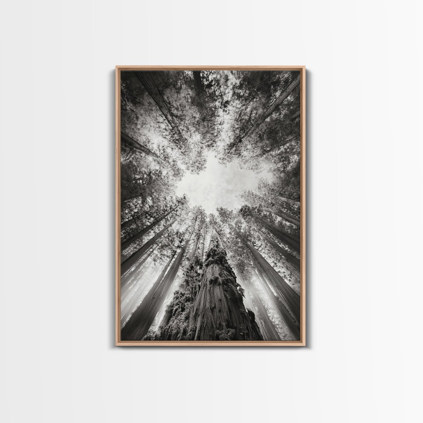 Redwood Canopy Sky, Majestic Forest Trees, Vertical Nature Scene, Framed Canvas Print, Wilderness Wall Art, Lodge or Den Decor