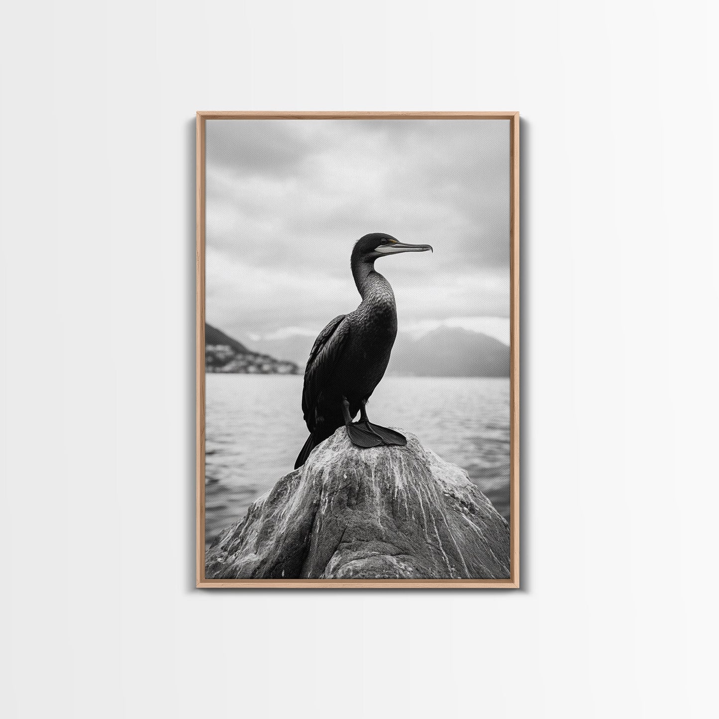 Coastal Bird Portrait, Nature Minimalism, Lake Decor, Monochrome Wildlife, Framed Canvas Print, Bedroom Wall Art, Bird Photography Print