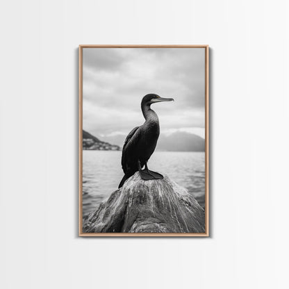 Coastal Bird Portrait, Nature Minimalism, Lake Decor, Monochrome Wildlife, Framed Canvas Print, Bedroom Wall Art, Bird Photography Print