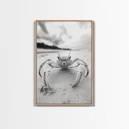 Beach Crab Portrait, Closeup Ocean Art, Tropical Minimalism, Coastal Creature Photo, Framed Canvas Print, Bathroom Wall Decor, Marine Decor