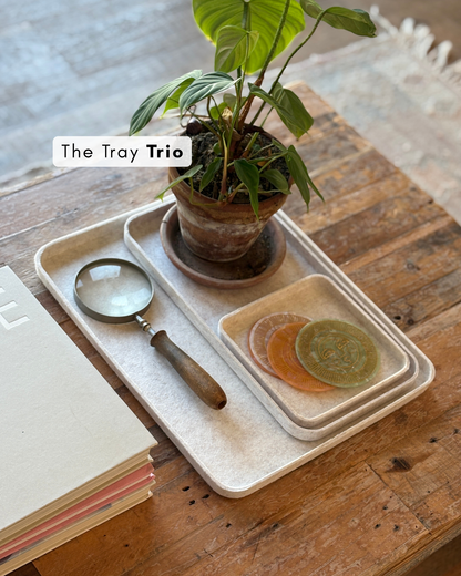 The Tray Duo 2.0