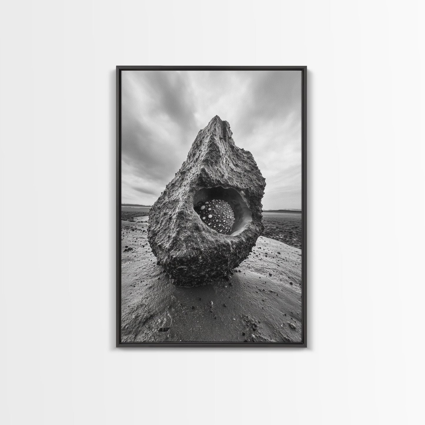 Sea Orb Rock, Coastal Texture, Ocean Shell Art, Framed Canvas Print, Beach House Wall Decor, Abstract Nature, Nautical Art Piece