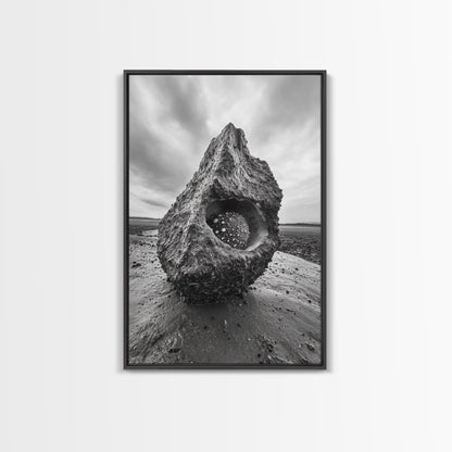 Sea Orb Rock, Coastal Texture, Ocean Shell Art, Framed Canvas Print, Beach House Wall Decor, Abstract Nature, Nautical Art Piece