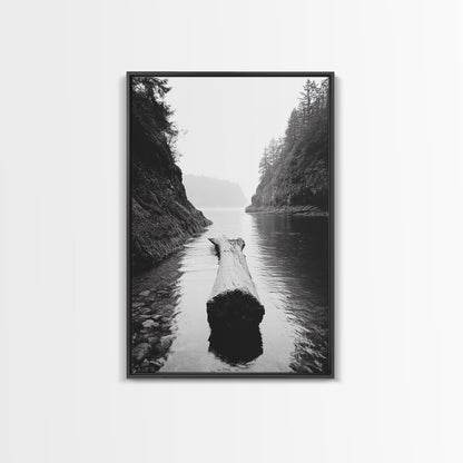 Driftwood Log, River Pass, Nature Silence, Misty Gorge, Framed Canvas Print, Office Wall Art, Modern Nature Decor, Moody Forest Style