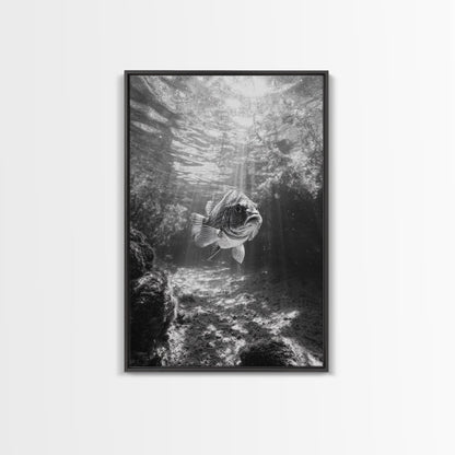 Sunlit Fish, Ocean Rays, Underwater Wonder, Tranquil Sea Life, Framed Canvas Print, Kids Room Decor, Coastal Art, Nautical Home Style