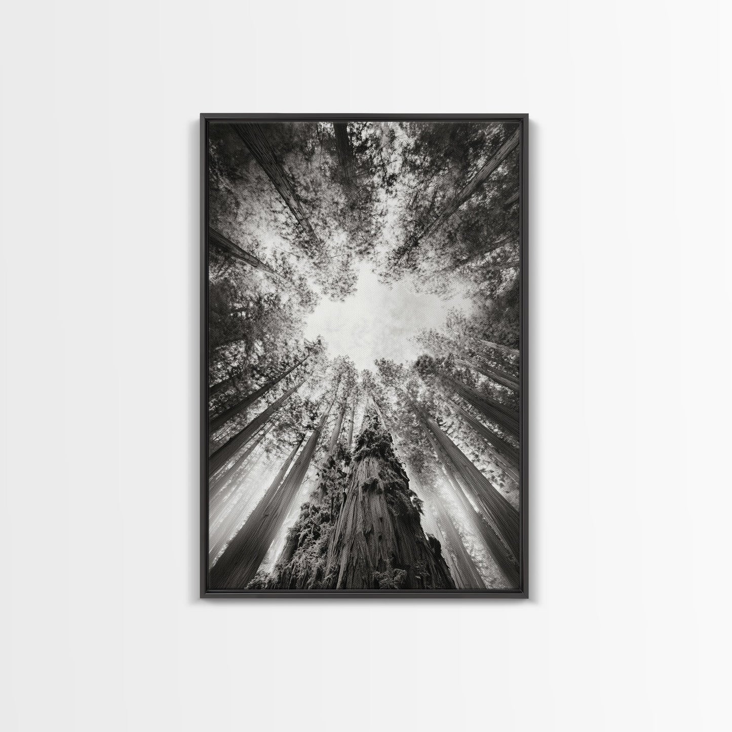 Redwood Canopy Sky, Majestic Forest Trees, Vertical Nature Scene, Framed Canvas Print, Wilderness Wall Art, Lodge or Den Decor
