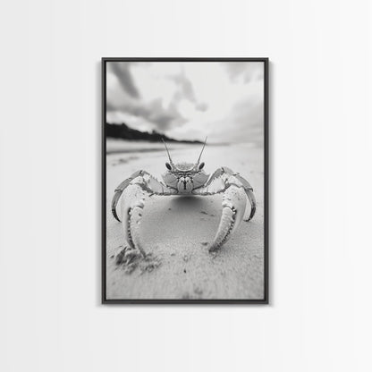 Beach Crab Portrait, Closeup Ocean Art, Tropical Minimalism, Coastal Creature Photo, Framed Canvas Print, Bathroom Wall Decor, Marine Decor