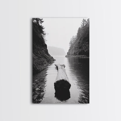 Driftwood Log, River Pass, Nature Silence, Misty Gorge, Framed Canvas Print, Office Wall Art, Modern Nature Decor, Moody Forest Style