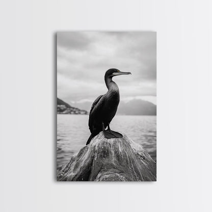 Coastal Bird Portrait, Nature Minimalism, Lake Decor, Monochrome Wildlife, Framed Canvas Print, Bedroom Wall Art, Bird Photography Print