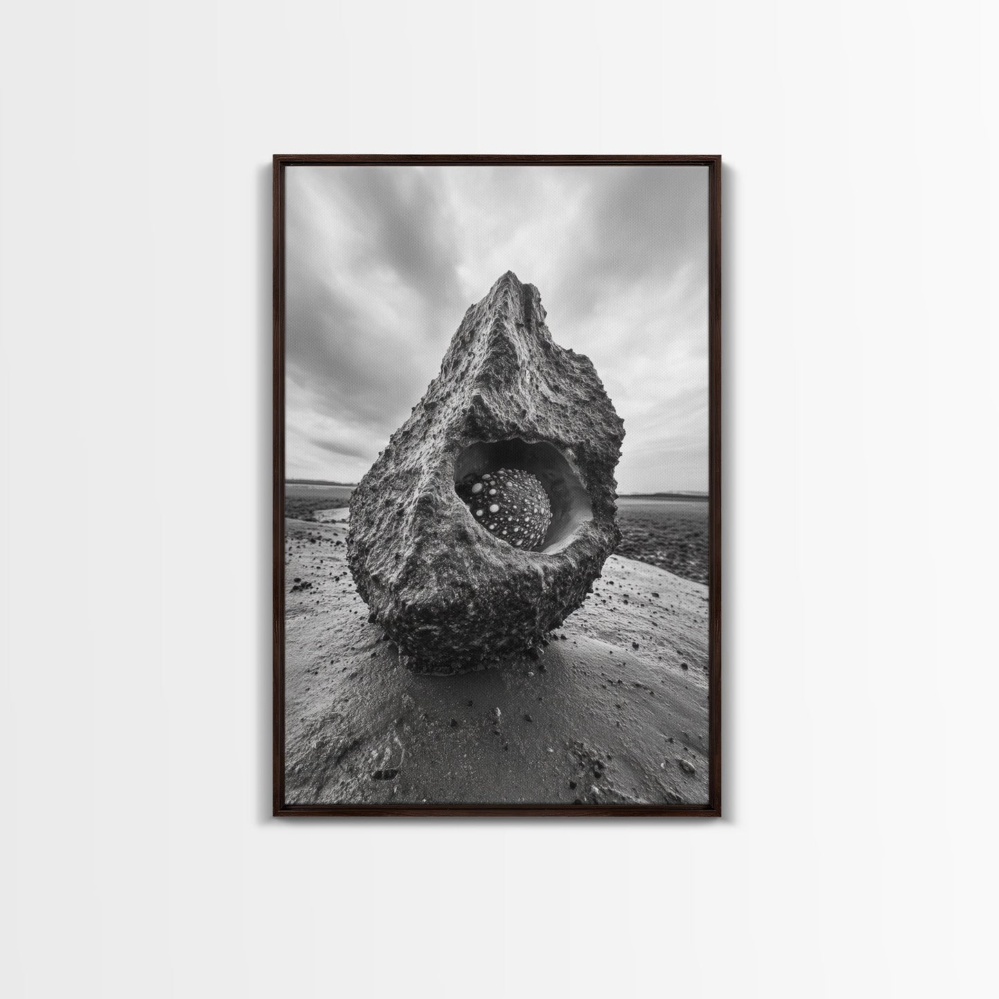 Sea Orb Rock, Coastal Texture, Ocean Shell Art, Framed Canvas Print, Beach House Wall Decor, Abstract Nature, Nautical Art Piece