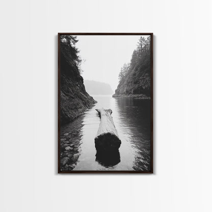 Driftwood Log, River Pass, Nature Silence, Misty Gorge, Framed Canvas Print, Office Wall Art, Modern Nature Decor, Moody Forest Style