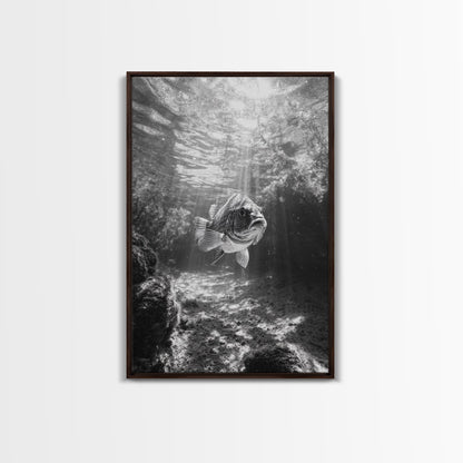 Sunlit Fish, Ocean Rays, Underwater Wonder, Tranquil Sea Life, Framed Canvas Print, Kids Room Decor, Coastal Art, Nautical Home Style