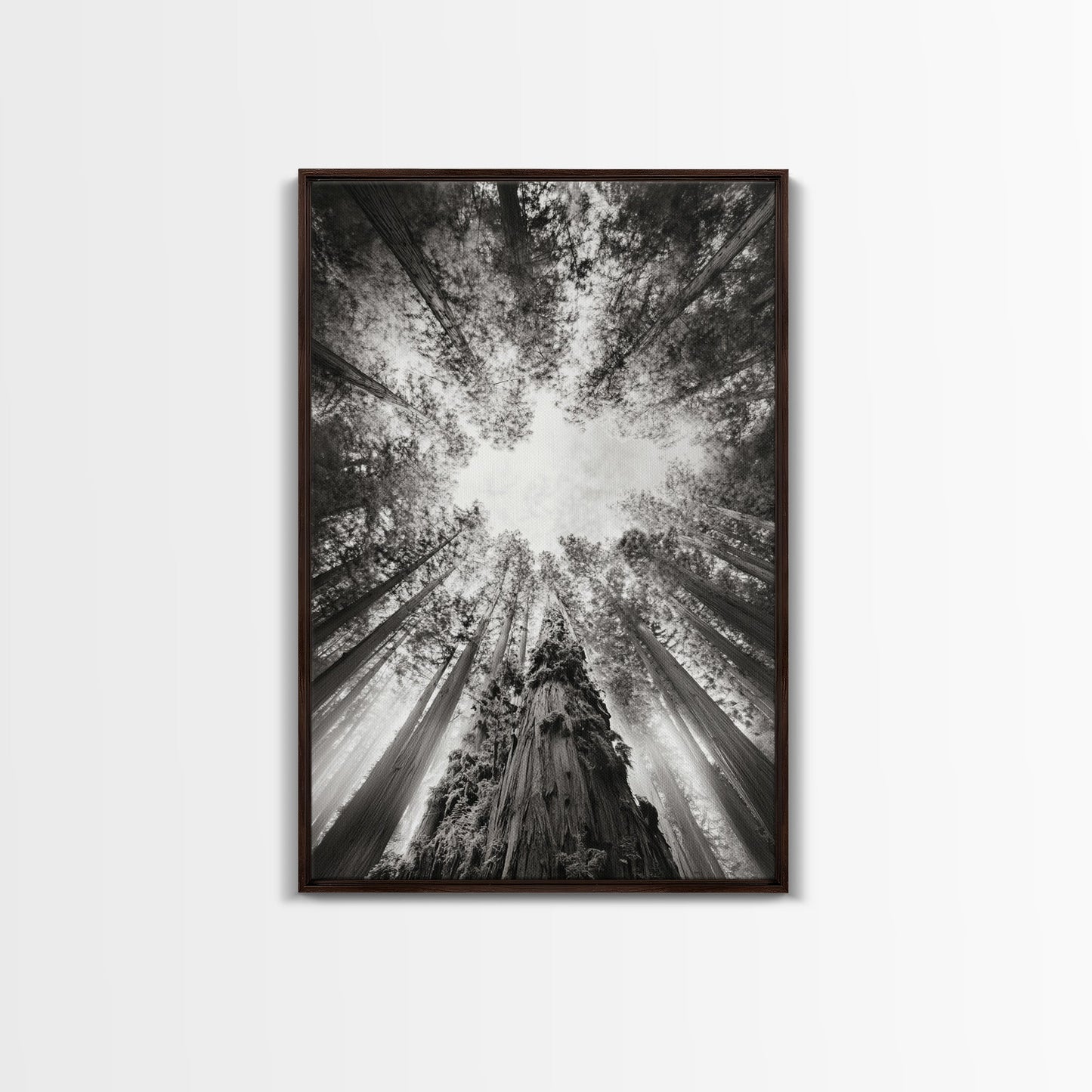 Redwood Canopy Sky, Majestic Forest Trees, Vertical Nature Scene, Framed Canvas Print, Wilderness Wall Art, Lodge or Den Decor