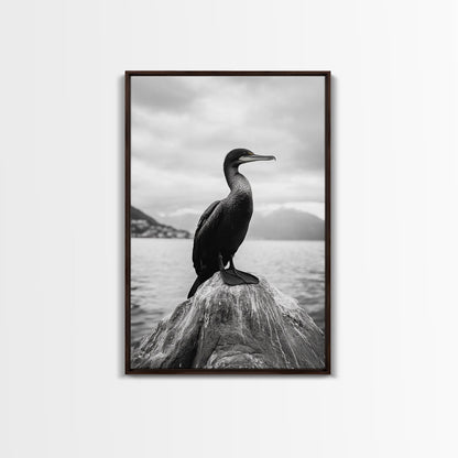 Coastal Bird Portrait, Nature Minimalism, Lake Decor, Monochrome Wildlife, Framed Canvas Print, Bedroom Wall Art, Bird Photography Print
