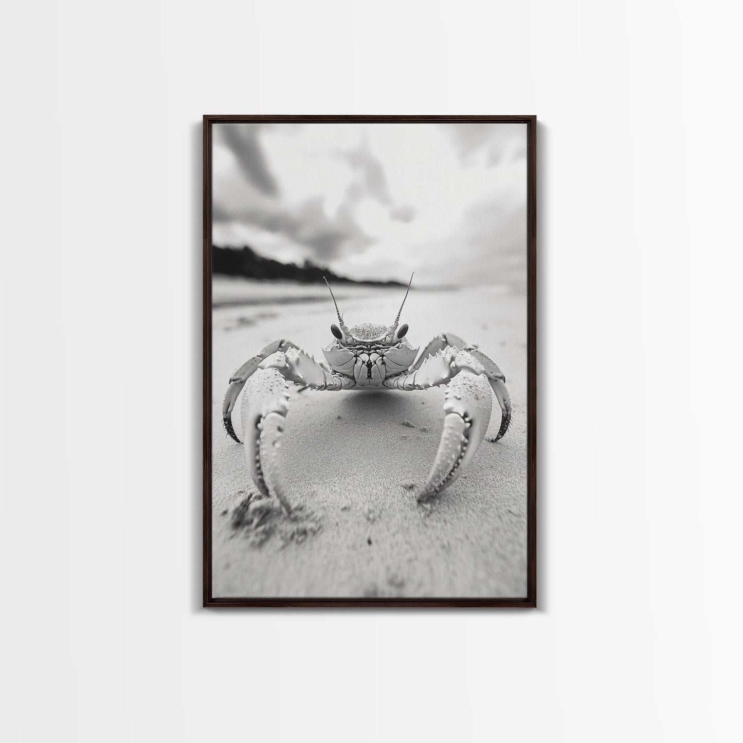 Beach Crab Portrait, Closeup Ocean Art, Tropical Minimalism, Coastal Creature Photo, Framed Canvas Print, Bathroom Wall Decor, Marine Decor
