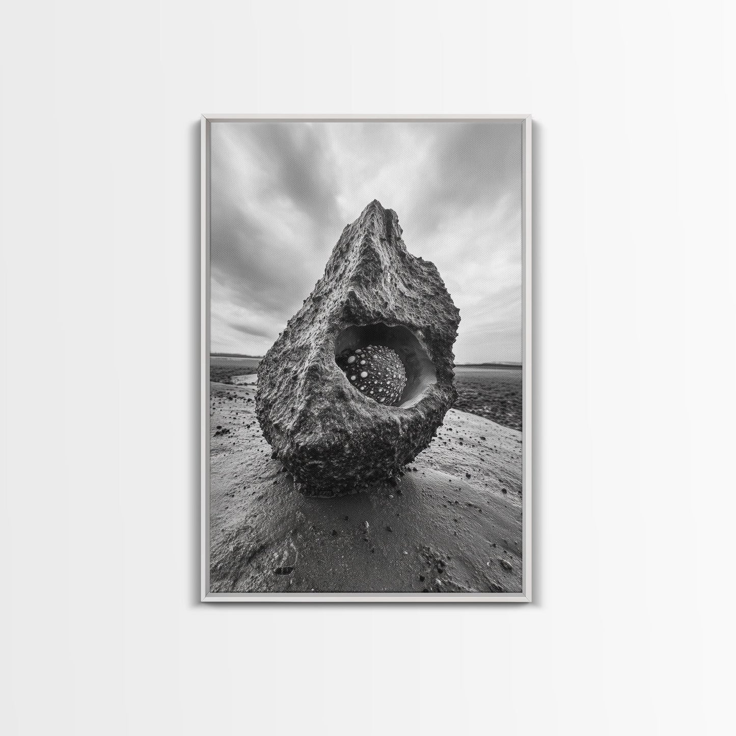 Sea Orb Rock, Coastal Texture, Ocean Shell Art, Framed Canvas Print, Beach House Wall Decor, Abstract Nature, Nautical Art Piece