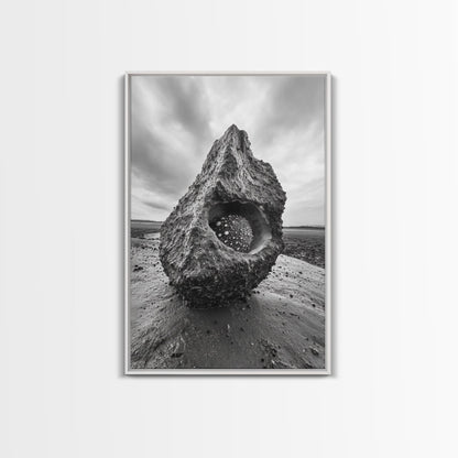 Sea Orb Rock, Coastal Texture, Ocean Shell Art, Framed Canvas Print, Beach House Wall Decor, Abstract Nature, Nautical Art Piece