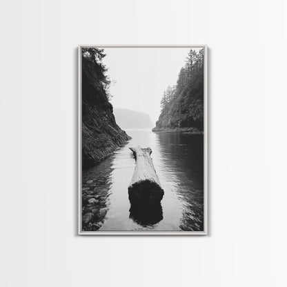 Driftwood Log, River Pass, Nature Silence, Misty Gorge, Framed Canvas Print, Office Wall Art, Modern Nature Decor, Moody Forest Style