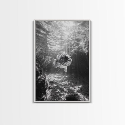 Sunlit Fish, Ocean Rays, Underwater Wonder, Tranquil Sea Life, Framed Canvas Print, Kids Room Decor, Coastal Art, Nautical Home Style