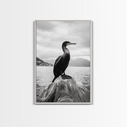Coastal Bird Portrait, Nature Minimalism, Lake Decor, Monochrome Wildlife, Framed Canvas Print, Bedroom Wall Art, Bird Photography Print