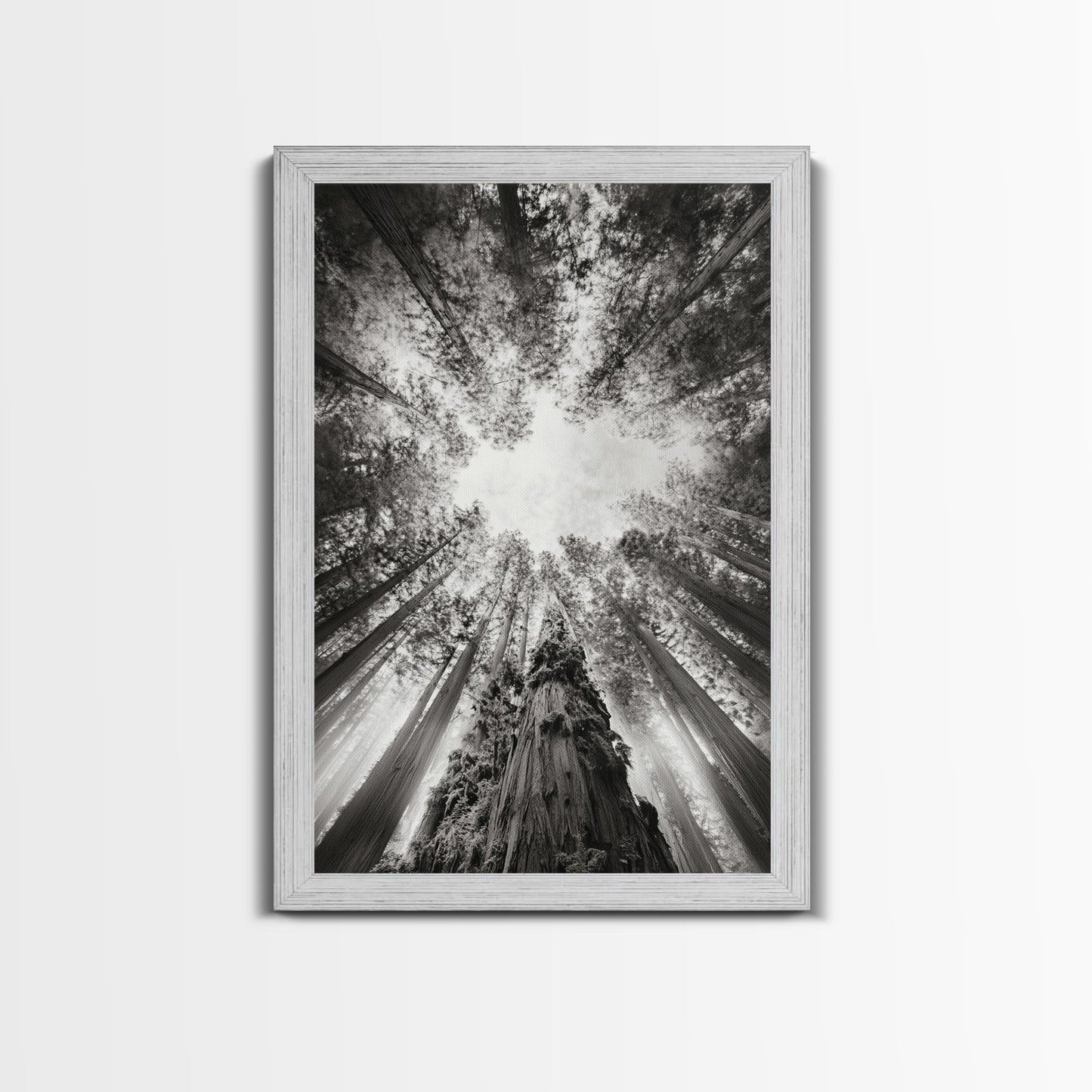 Redwood Canopy Sky, Majestic Forest Trees, Vertical Nature Scene, Framed Canvas Print, Wilderness Wall Art, Lodge or Den Decor