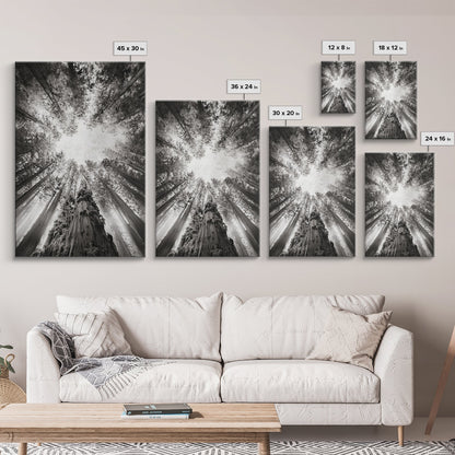 Redwood Canopy Sky, Majestic Forest Trees, Vertical Nature Scene, Framed Canvas Print, Wilderness Wall Art, Lodge or Den Decor