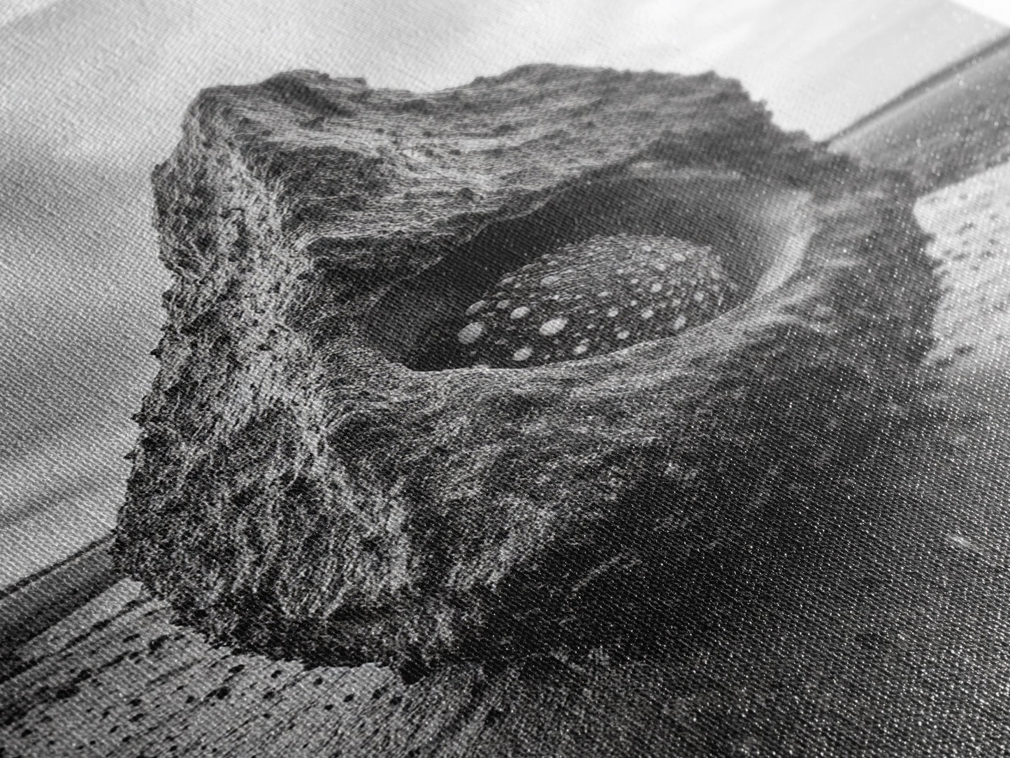 Sea Orb Rock, Coastal Texture, Ocean Shell Art, Framed Canvas Print, Beach House Wall Decor, Abstract Nature, Nautical Art Piece