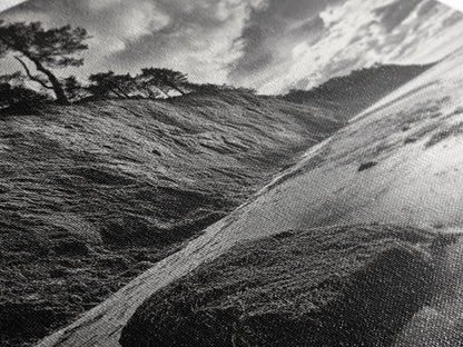 Cliffside Trees, Coastal Horizon, Rugged Seashore, Pacific Northwest Print, Framed Canvas Print, Fall Nature Wall Art, Den Decor