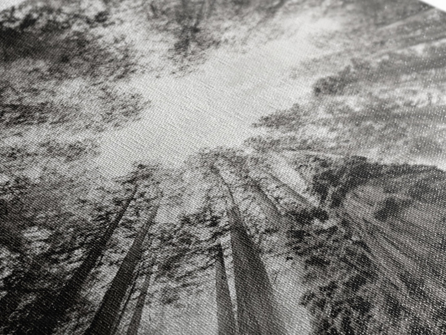 Redwood Canopy Sky, Majestic Forest Trees, Vertical Nature Scene, Framed Canvas Print, Wilderness Wall Art, Lodge or Den Decor