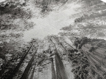 Redwood Canopy Sky, Majestic Forest Trees, Vertical Nature Scene, Framed Canvas Print, Wilderness Wall Art, Lodge or Den Decor