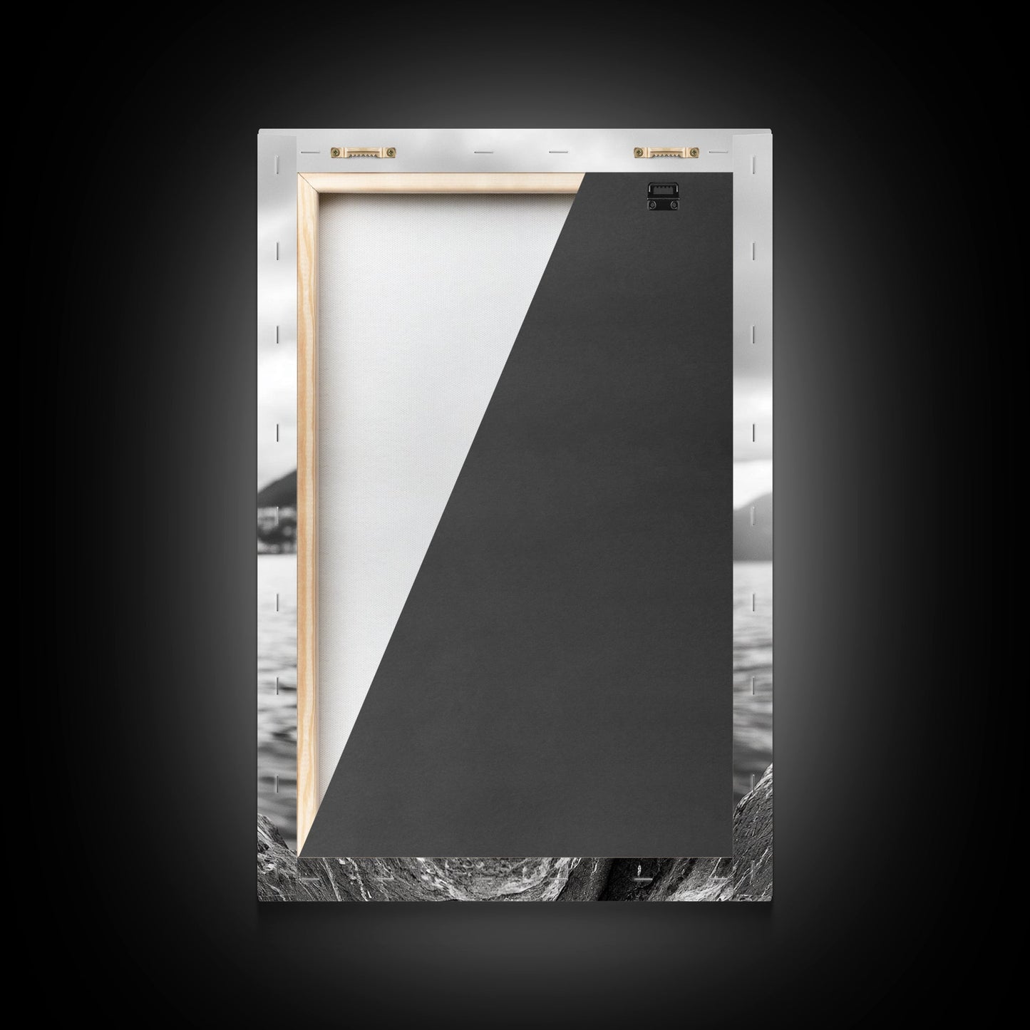 Coastal Bird Portrait, Nature Minimalism, Lake Decor, Monochrome Wildlife, Framed Canvas Print, Bedroom Wall Art, Bird Photography Print