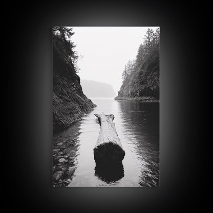 Driftwood Log, River Pass, Nature Silence, Misty Gorge, Framed Canvas Print, Office Wall Art, Modern Nature Decor, Moody Forest Style