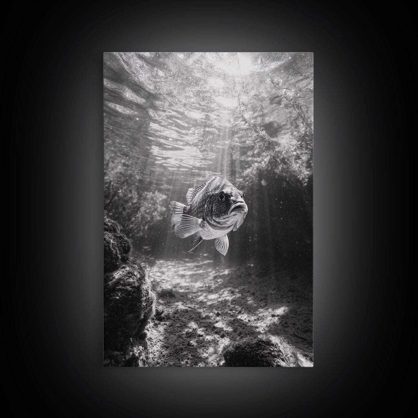 Sunlit Fish, Ocean Rays, Underwater Wonder, Tranquil Sea Life, Framed Canvas Print, Kids Room Decor, Coastal Art, Nautical Home Style