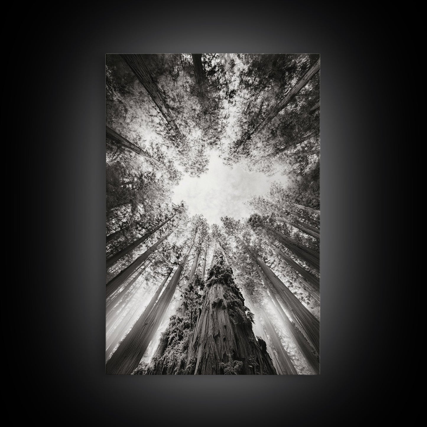 Redwood Canopy Sky, Majestic Forest Trees, Vertical Nature Scene, Framed Canvas Print, Wilderness Wall Art, Lodge or Den Decor