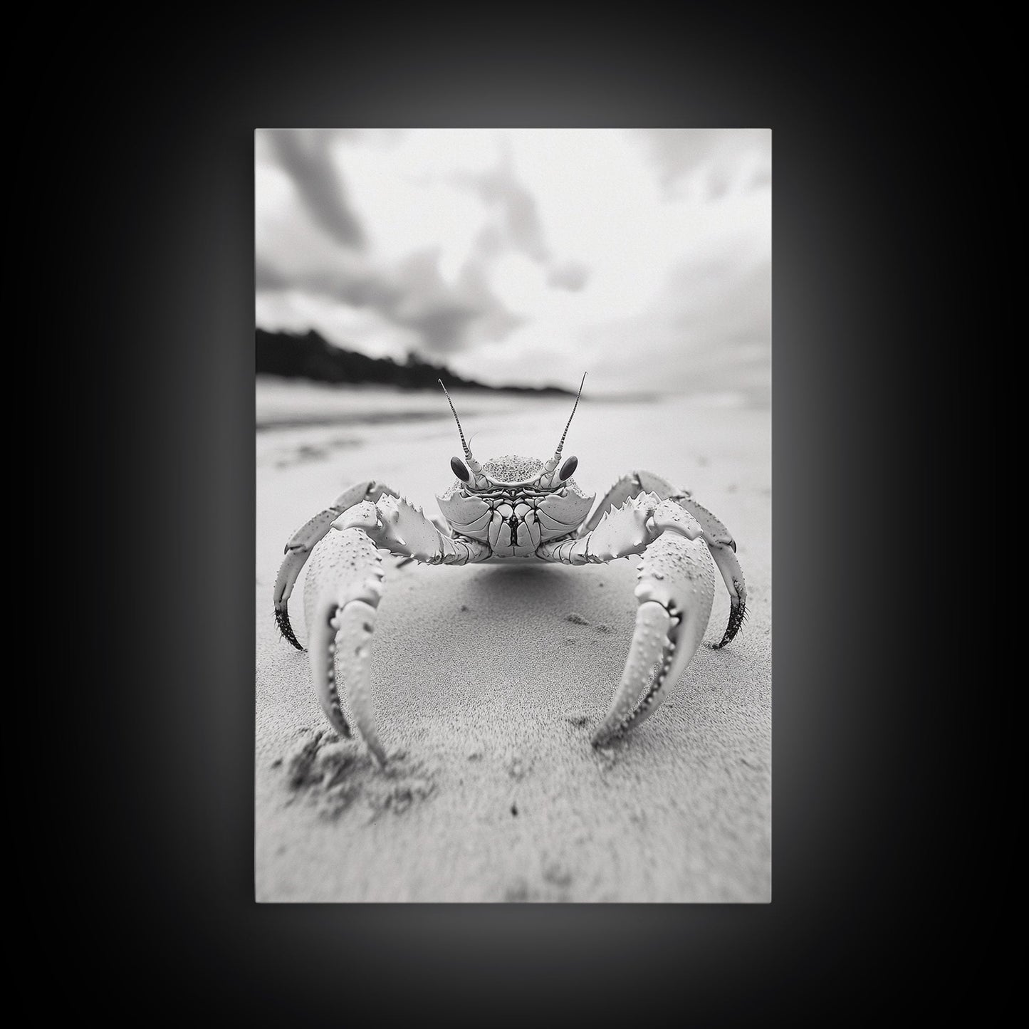 Beach Crab Portrait, Closeup Ocean Art, Tropical Minimalism, Coastal Creature Photo, Framed Canvas Print, Bathroom Wall Decor, Marine Decor