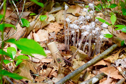 I Love You Under Eye Balm