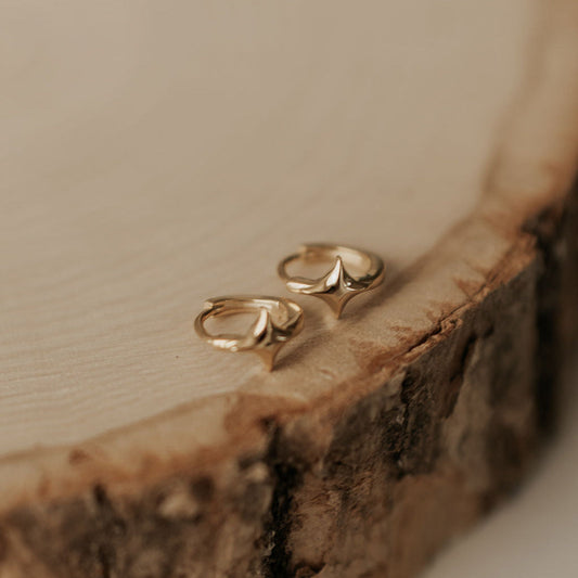 Beth Hoops
