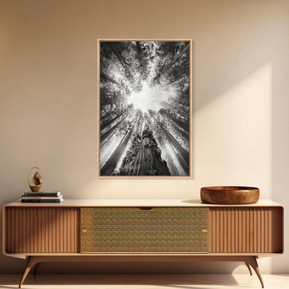Redwood Canopy Sky, Majestic Forest Trees, Vertical Nature Scene, Framed Canvas Print, Wilderness Wall Art, Lodge or Den Decor
