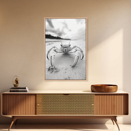 Beach Crab Portrait, Closeup Ocean Art, Tropical Minimalism, Coastal Creature Photo, Framed Canvas Print, Bathroom Wall Decor, Marine Decor