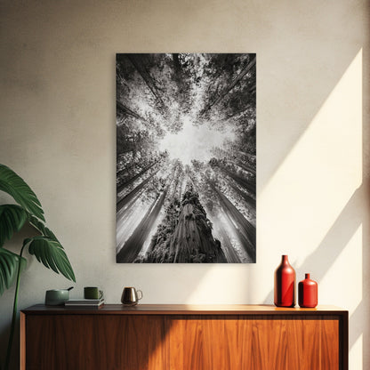 Redwood Canopy Sky, Majestic Forest Trees, Vertical Nature Scene, Framed Canvas Print, Wilderness Wall Art, Lodge or Den Decor
