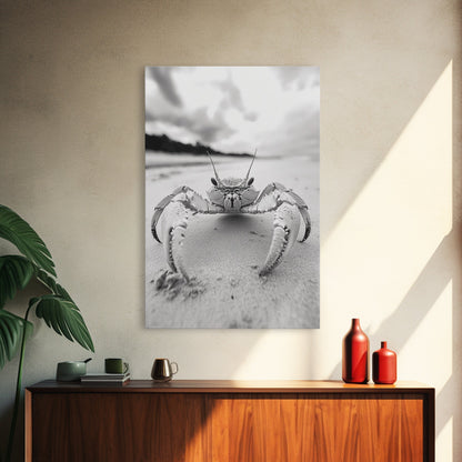 Beach Crab Portrait, Closeup Ocean Art, Tropical Minimalism, Coastal Creature Photo, Framed Canvas Print, Bathroom Wall Decor, Marine Decor