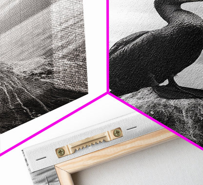 Coastal Bird Portrait, Nature Minimalism, Lake Decor, Monochrome Wildlife, Framed Canvas Print, Bedroom Wall Art, Bird Photography Print