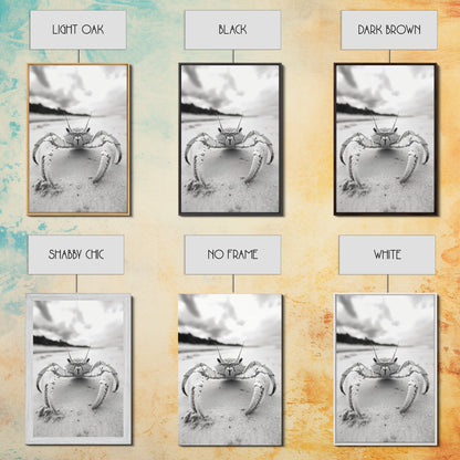 Beach Crab Portrait, Closeup Ocean Art, Tropical Minimalism, Coastal Creature Photo, Framed Canvas Print, Bathroom Wall Decor, Marine Decor