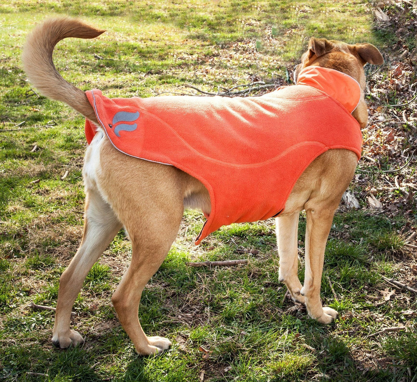 Dog Helios ® Lotus-Rusher 2-in-1 Dual-Removable Layered Performance Dog Jacket