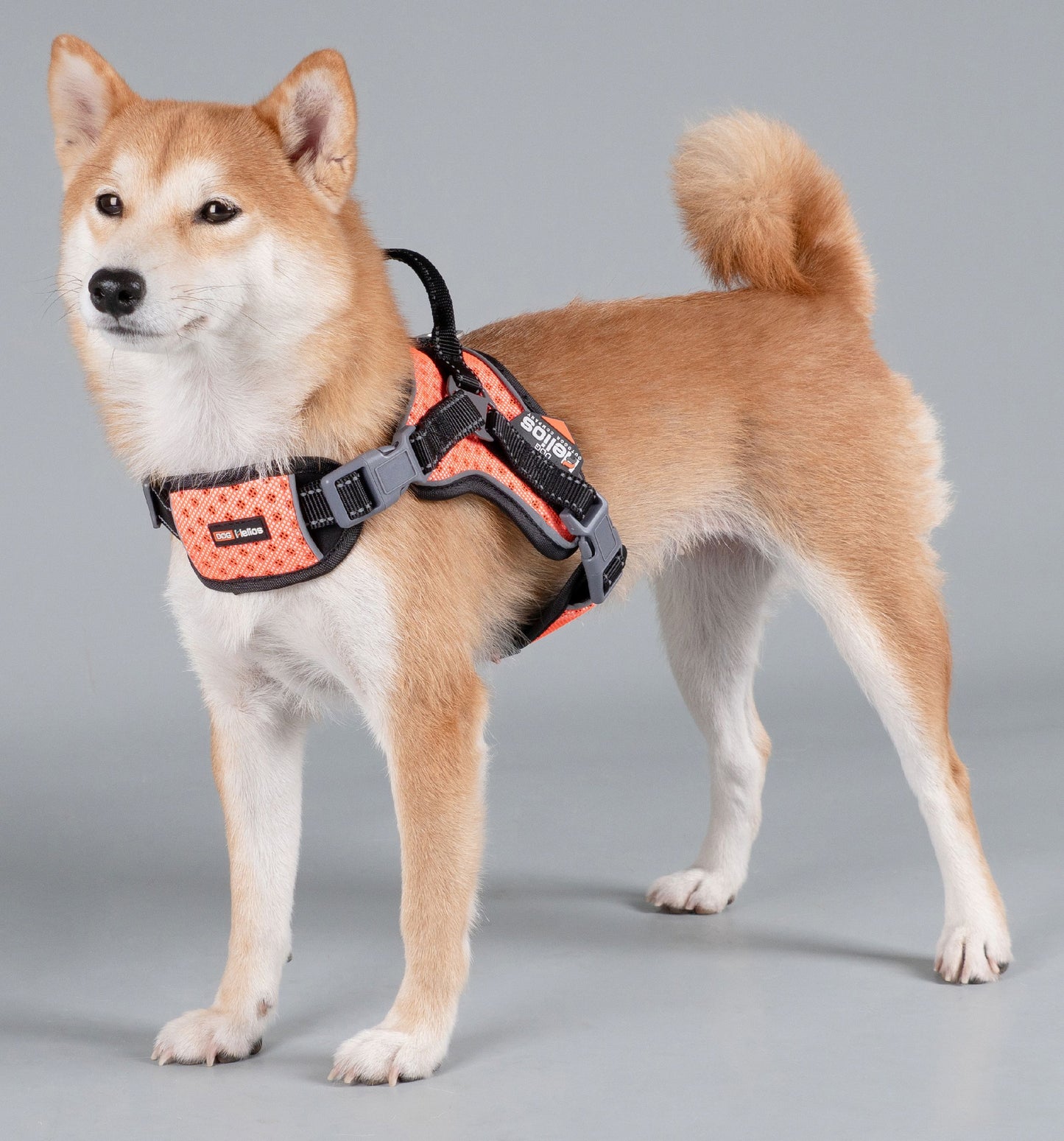 Dog Helios ® 'Scorpion' Sporty High-Performance Free-Range Dog Harness