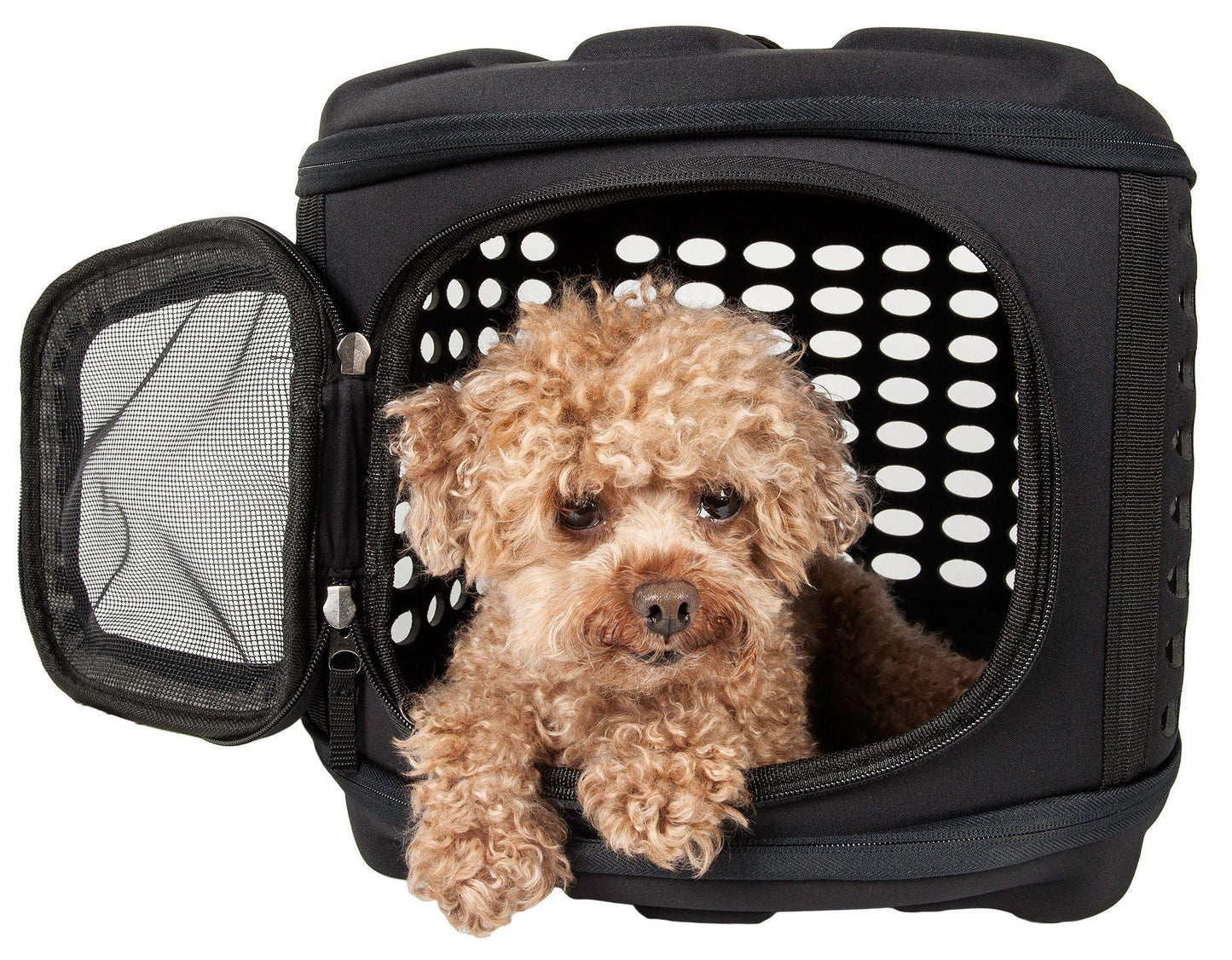 Pet Life ® 'Circular Shelled' Perforated Lightweight Collapsible Military Grade Travel Pet Dog Carrier