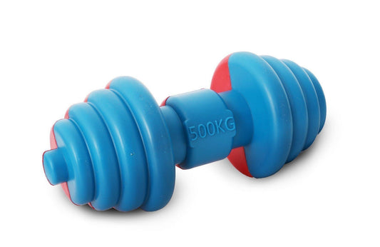 Pet Life ® 'Iron Wag' Durable Chew and Fetch TPR Waterproof Floating Dog Toy